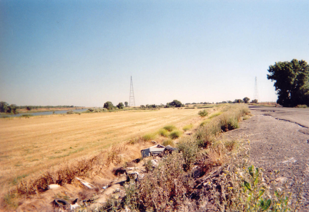 On the bike trip out I was often on a leeve road bordering the shipping channel