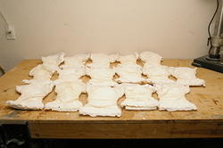 Bumpkins cloth diapers
16 small sized
Outside view